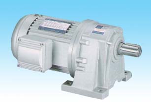 博林 GL（H）W小齒輪減速電機(jī)