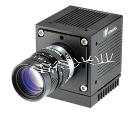 雷得興業(yè) VA-8MC-Vieworks大靶面高速相機(jī)