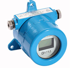 辰竹儀表 現(xiàn)場本安顯示器CZBS110-EX（I）