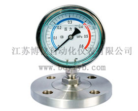博儀自動(dòng)化 衛(wèi)生型隔膜壓力表