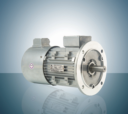 安重 變頻調速電機