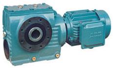 瑞德森 S系列斜齒輪-蝸輪減速機(jī)