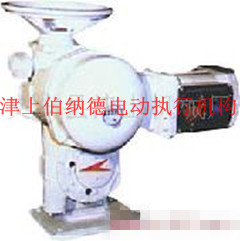 津上 A+RS100直連式電動(dòng)執(zhí)行器