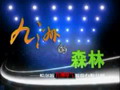 九洲電氣企業(yè)宣傳片